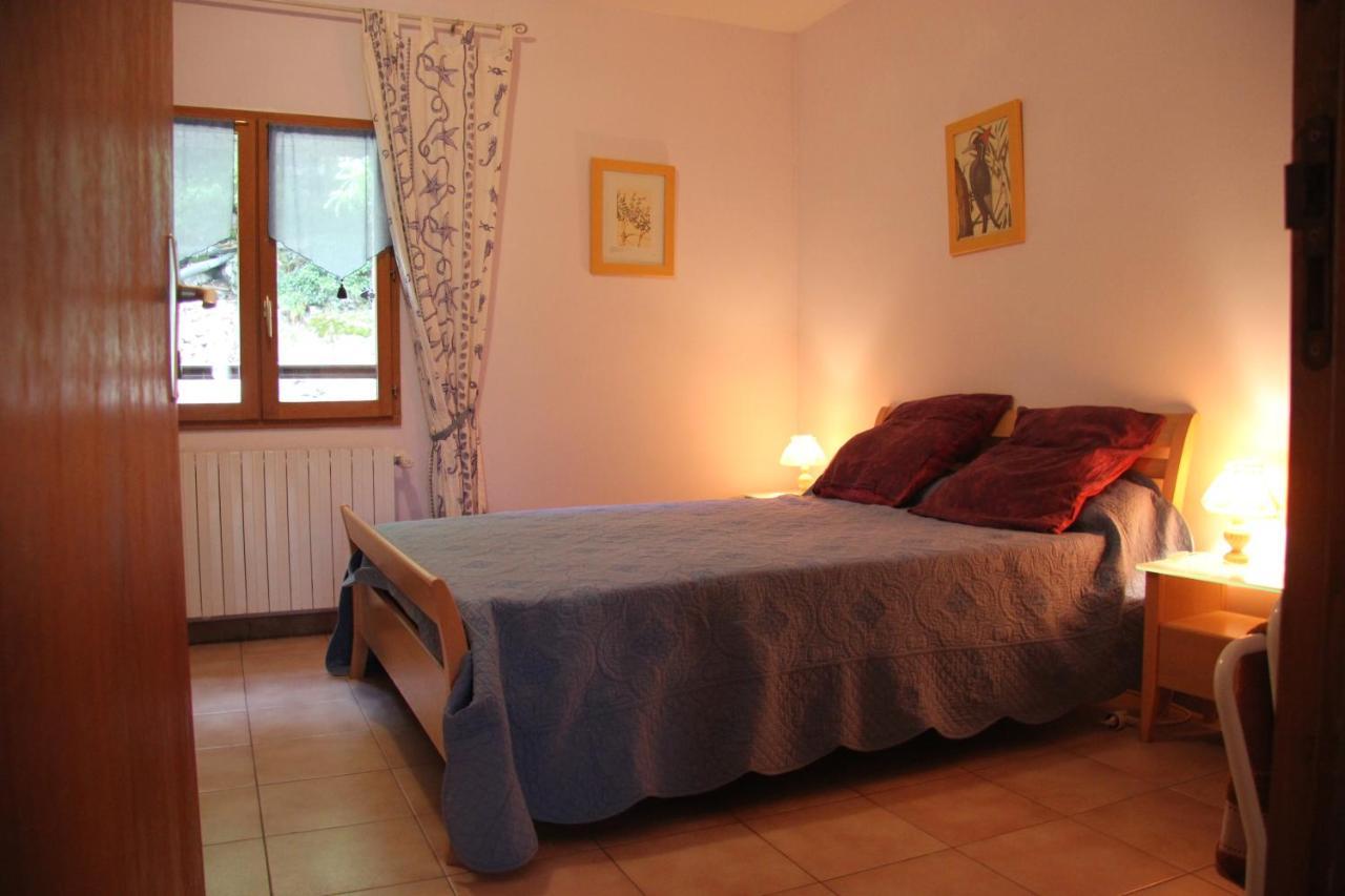 Chambre D'Hote "Chez Antoinette Et Charles" Санто-Пьетро-ди-Венако Номер фото